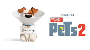 Hindi Trailer | Secret Life of Pets 2 | Universal Pictures India